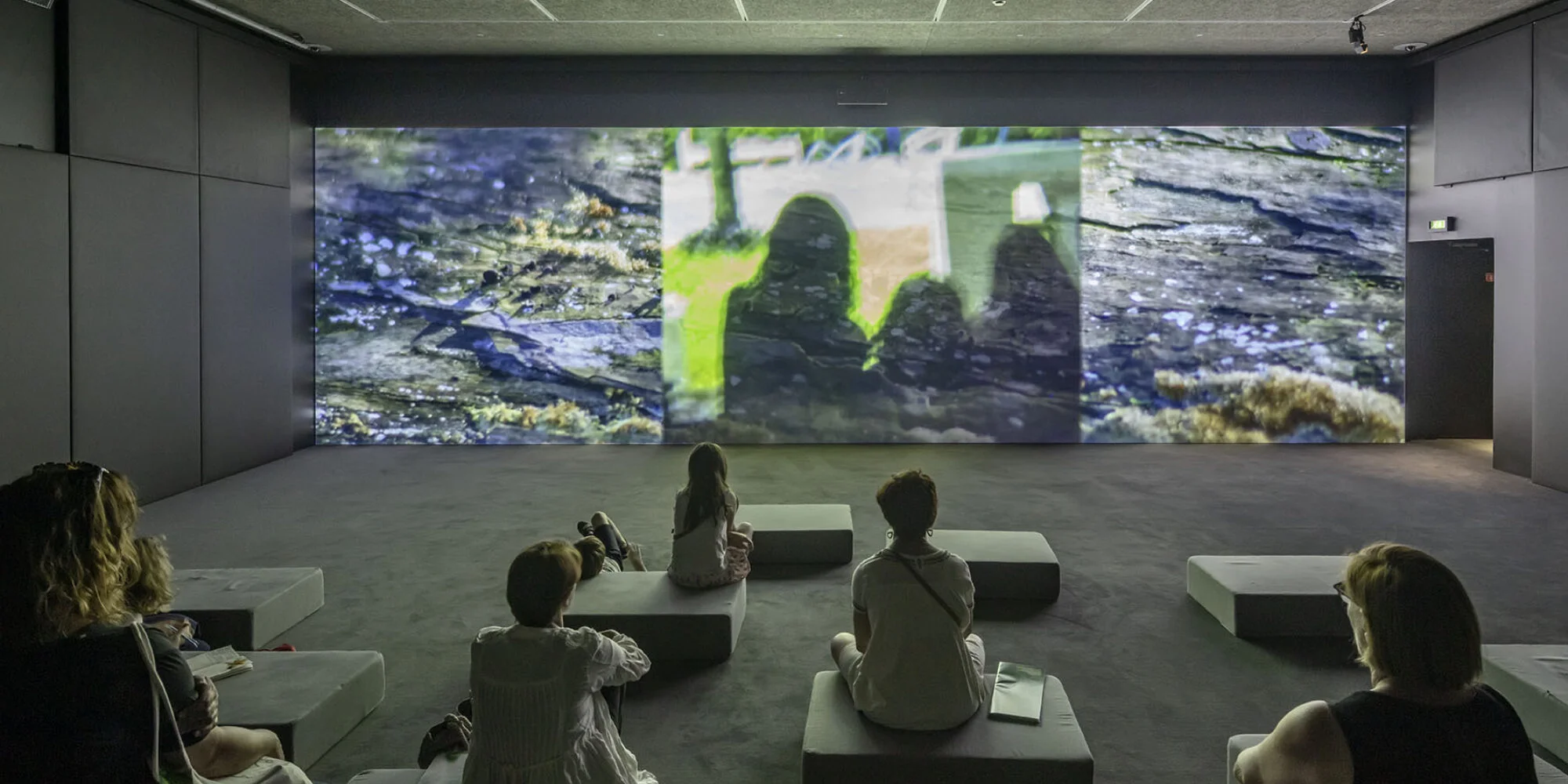 “Nous les arbres”, une expo très actuelle qui ne cache pas la forêt des incendiaires