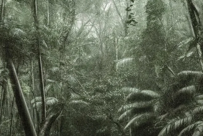 Luiz Zerbini Lago Quadrado, 2010 — Acrylique sur toile, 300 × 300 cm Collection Romero Pimenta, Nova Lima © Luiz Zerbini — Photo © Eduardo Ortega.