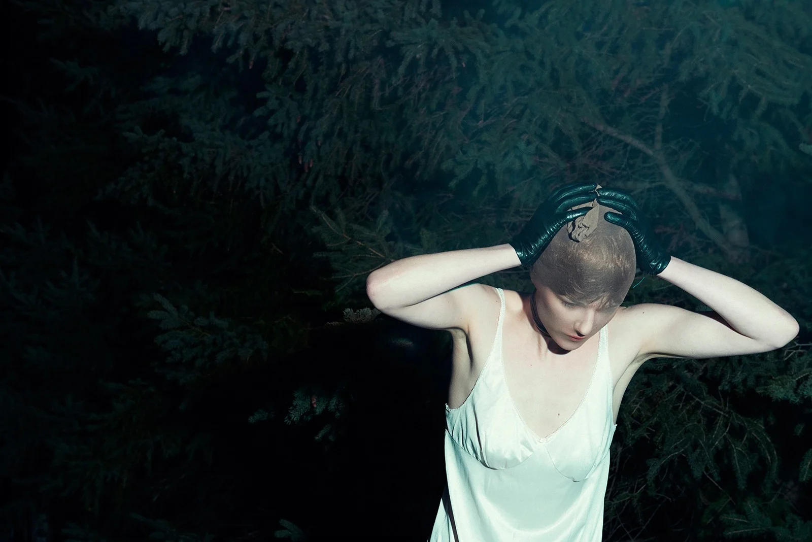 © Kourtney Roy, Northern Noir