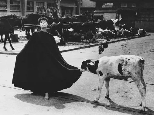Masahisa Fukase - The Incurable Egoist