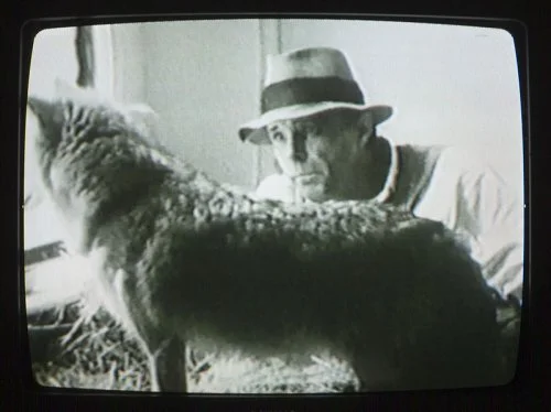 Jo Beuys et son coyotte