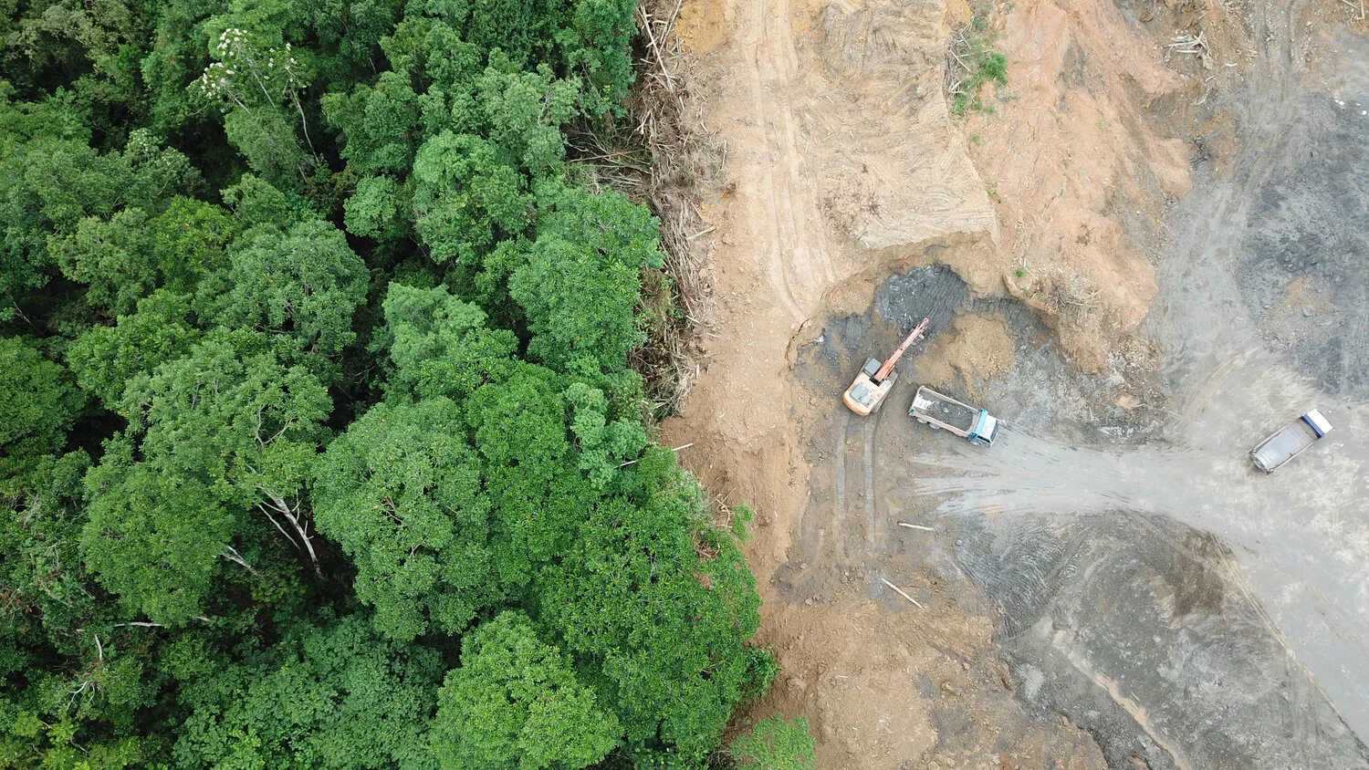 Les forêts du monde seront détruites si nous ne disons pas non