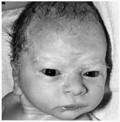 Qui est nous ? Une exposition de Philippe Bazin et Christiane Vollaire à Gentilly