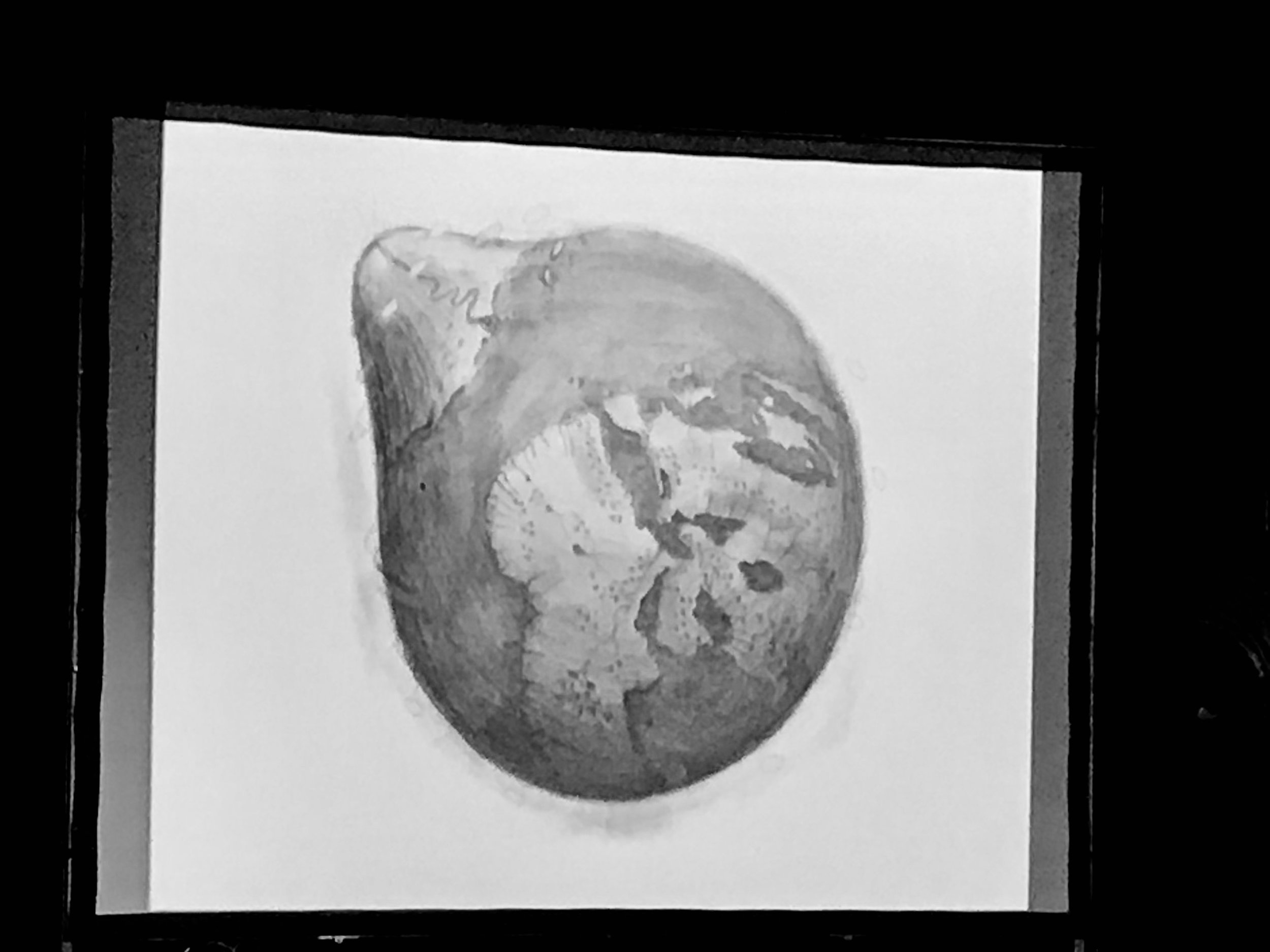 Before #1 de Johann Le Guillerm, éminemment voluptueux…&nbsp;