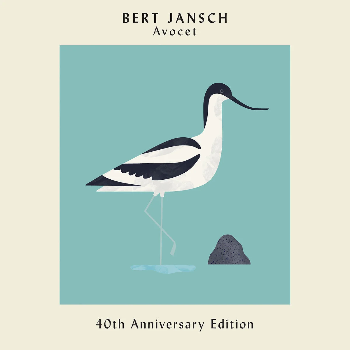 Avocet, à la recherche des oiseaux aquatiques perdus avec Bert Jansch