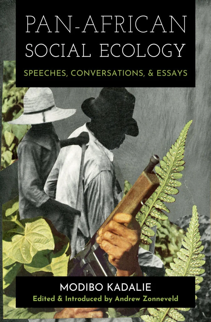 Écologie sociale panafricaine : les histoires dont nous avons besoin !