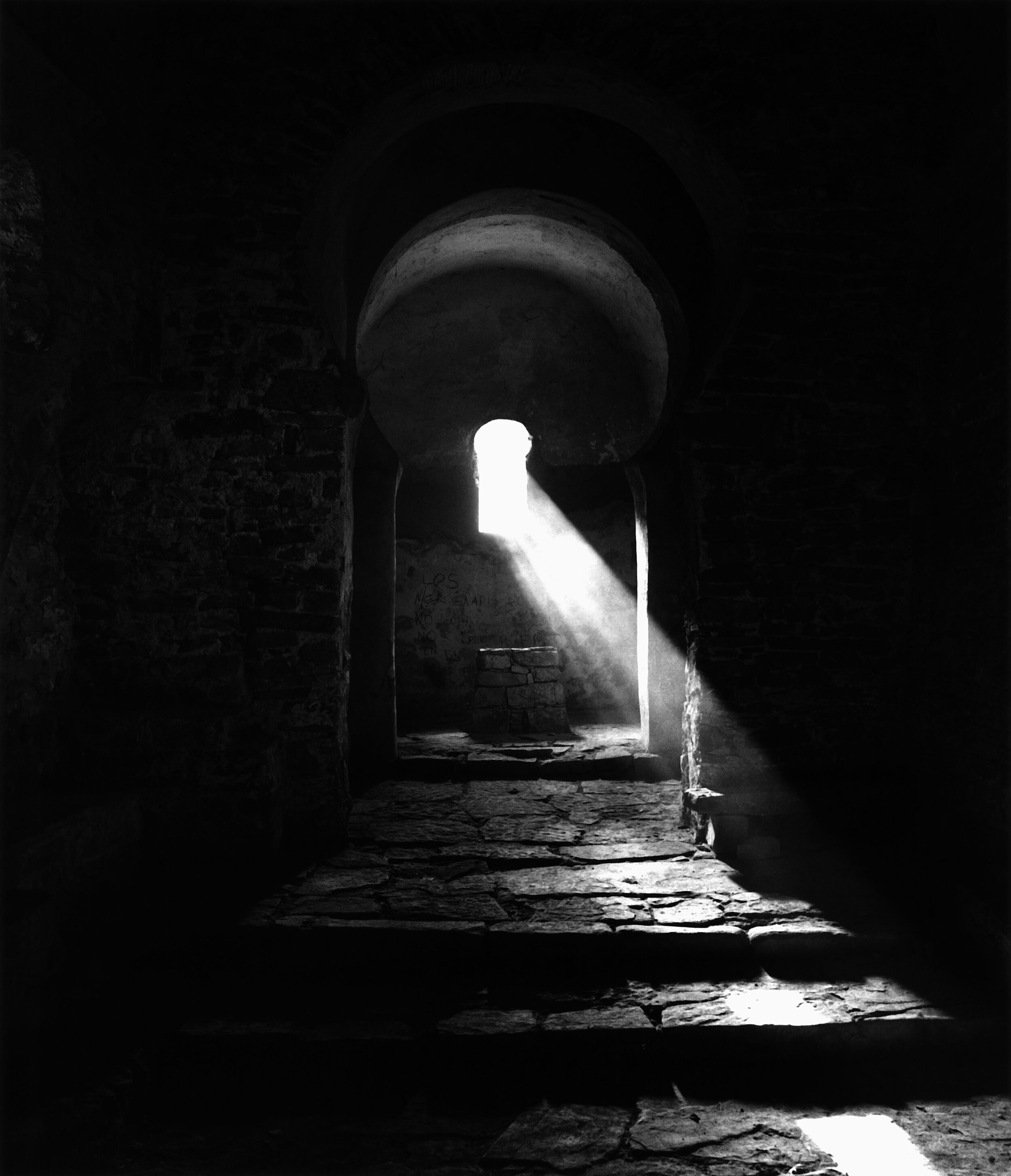 La Zone Grise d'Ursula Schulz-Dornburg, une vision clef !