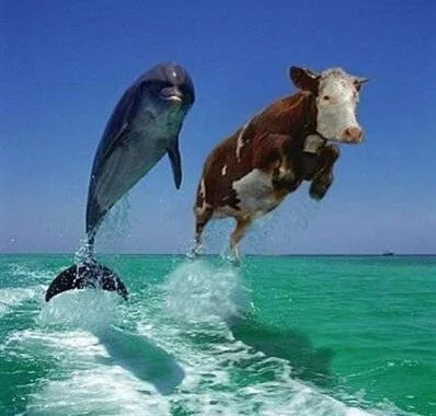 Flipper:Marguerite.jpg