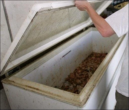 23/35 Biaise se prend un coup de froid et c'est bien…