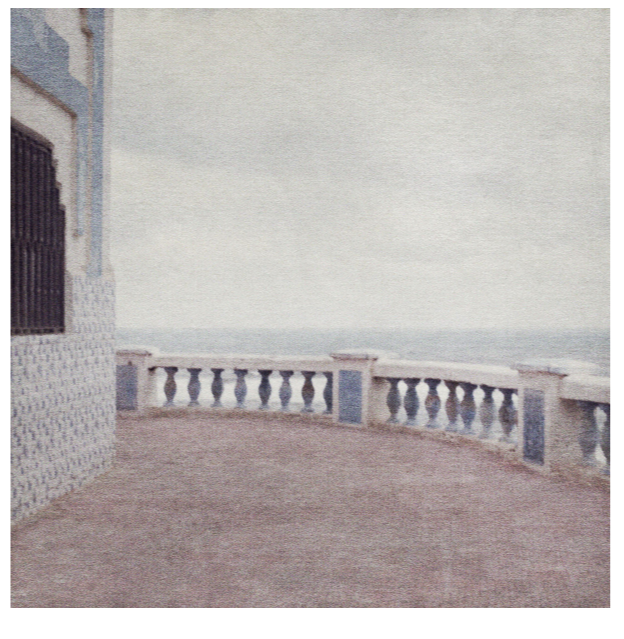 Flore en quête de La Lumière au Maroc via le temps suspendu