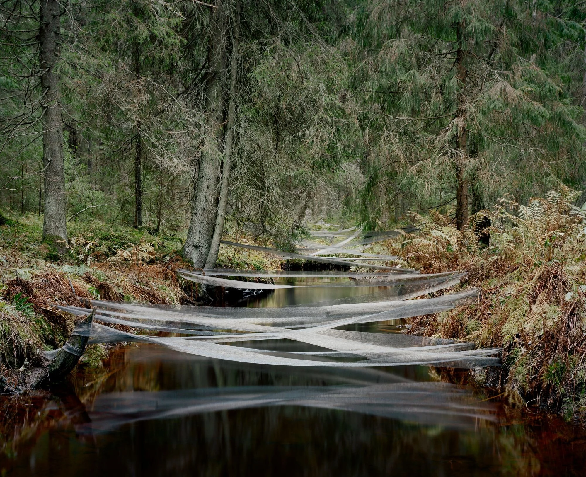 Le land art tout en notes fluviales de Riitta Päiväläinen