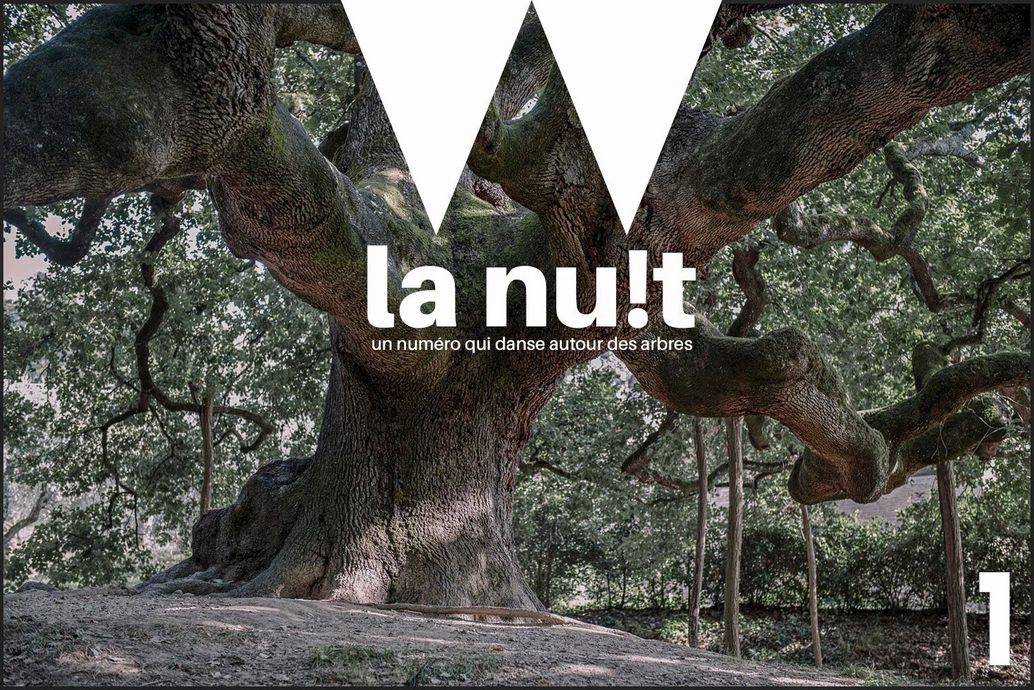 covernuit1.jpg