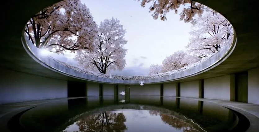 D’une tristesse de la liberté. Par André Markowicz