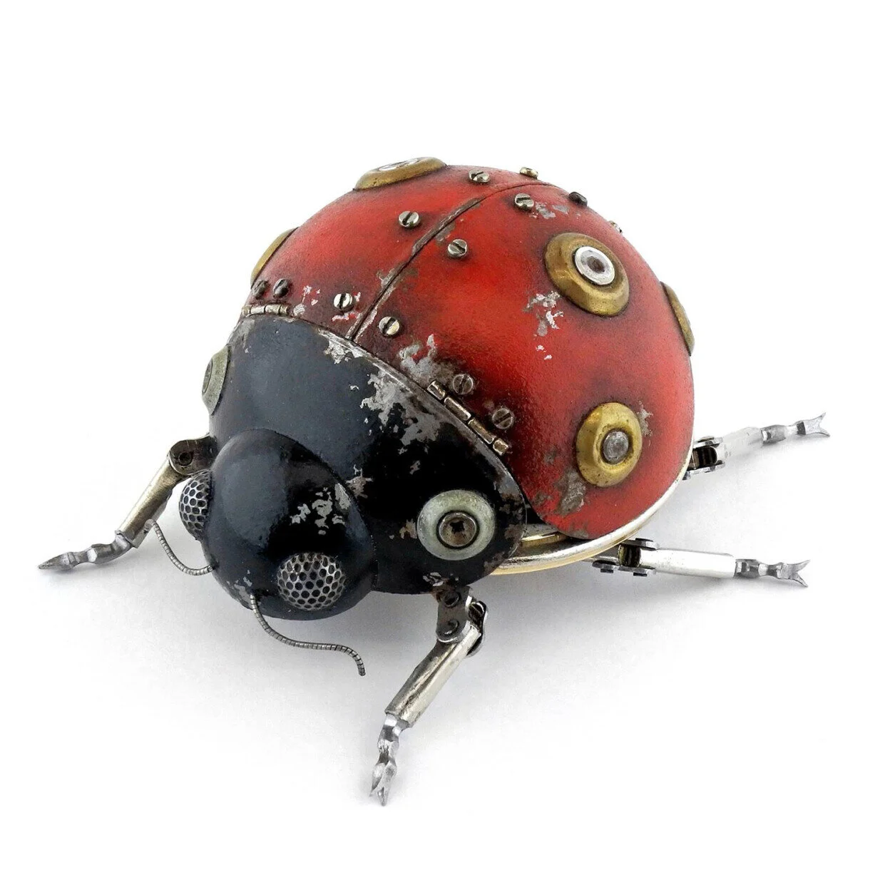 Et si le steampunk était un reflet de la réalité? Igor Verny témoigne avec ses oiseaux
