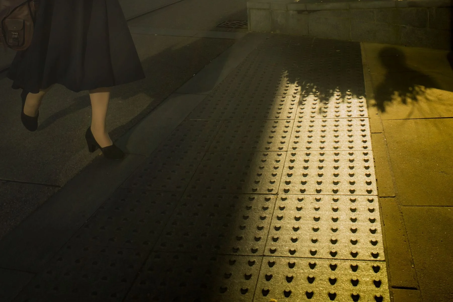 From the Shadows © Michael McIlvaney