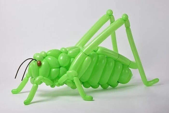 de-nouvelles-sculptures-d-animaux-en-ballons-de-baudruche-par-Masayoshi-Matsumoto-11-cricket.jpg