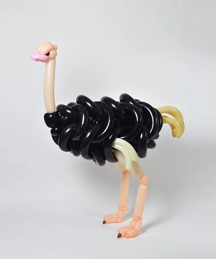 de-nouvelles-sculptures-d-animaux-en-ballons-de-baudruche-par-Masayoshi-Matsumoto-14-autruche.jpg