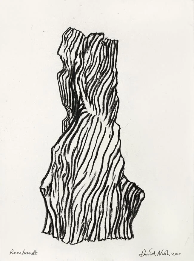 Ma vie, mon arbre avec David Nash chez Lelong