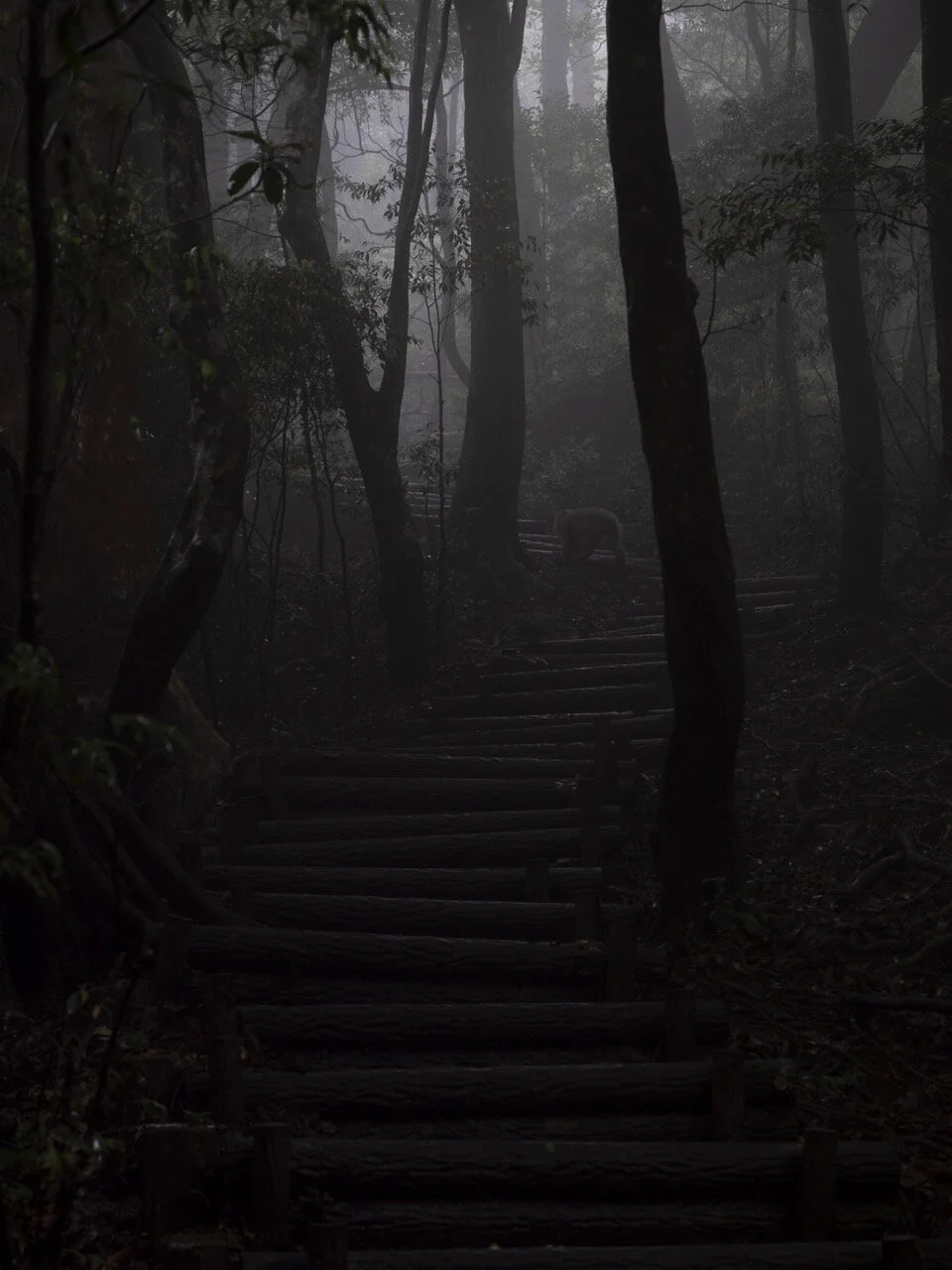 6/6 Dernières nouvelles des déclassés au Japon par Pierre-Elie de Pibrac
