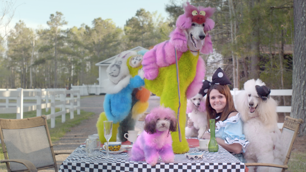Caniche, électronique et day-glo, le son de Dan Deacon 