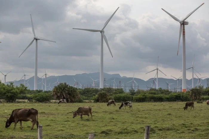 Autant en emportent les éoliennes ? Les désillusions d'une énergie dans le vent