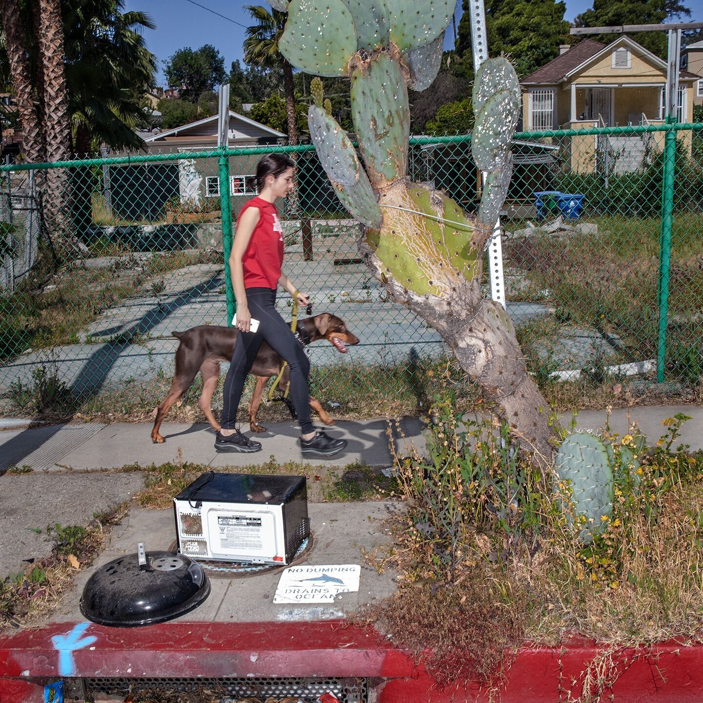 Vivre au cœur de la bête à Los Angeles
