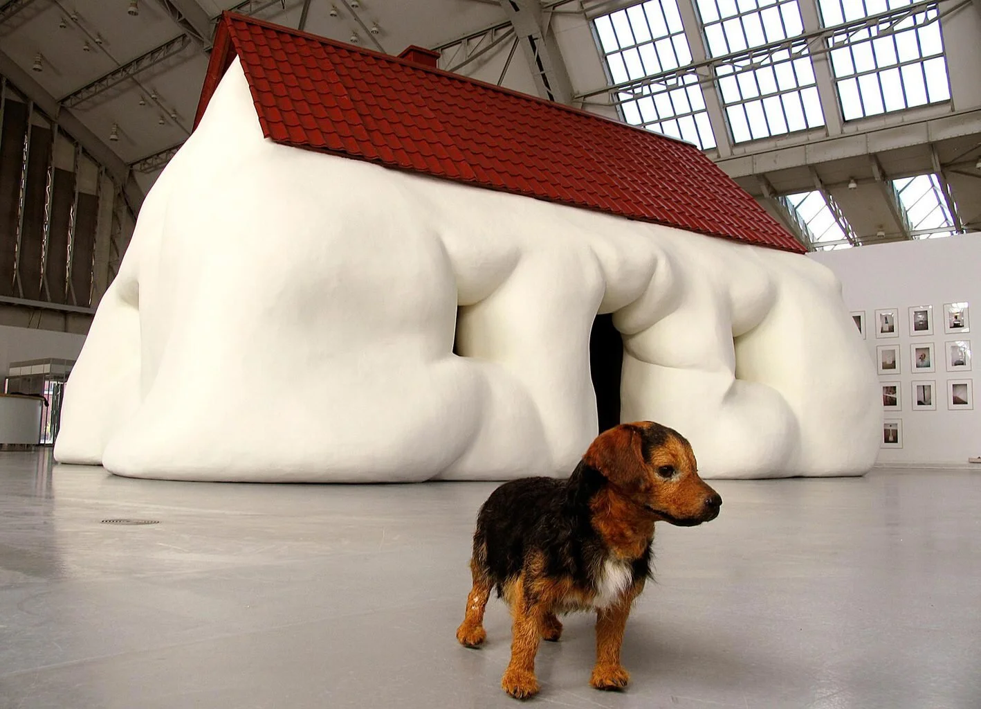 Fat House - Erwin Wurm