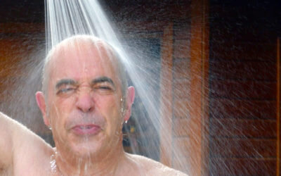 Birgé invite 28 zikos à improviser sur son "Pique-nique au Labo"