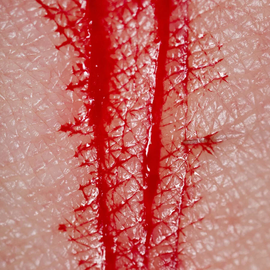 Cent coupures pour raviver l'histoire de la violence par Martin Bladh et Karolina Urbaniak