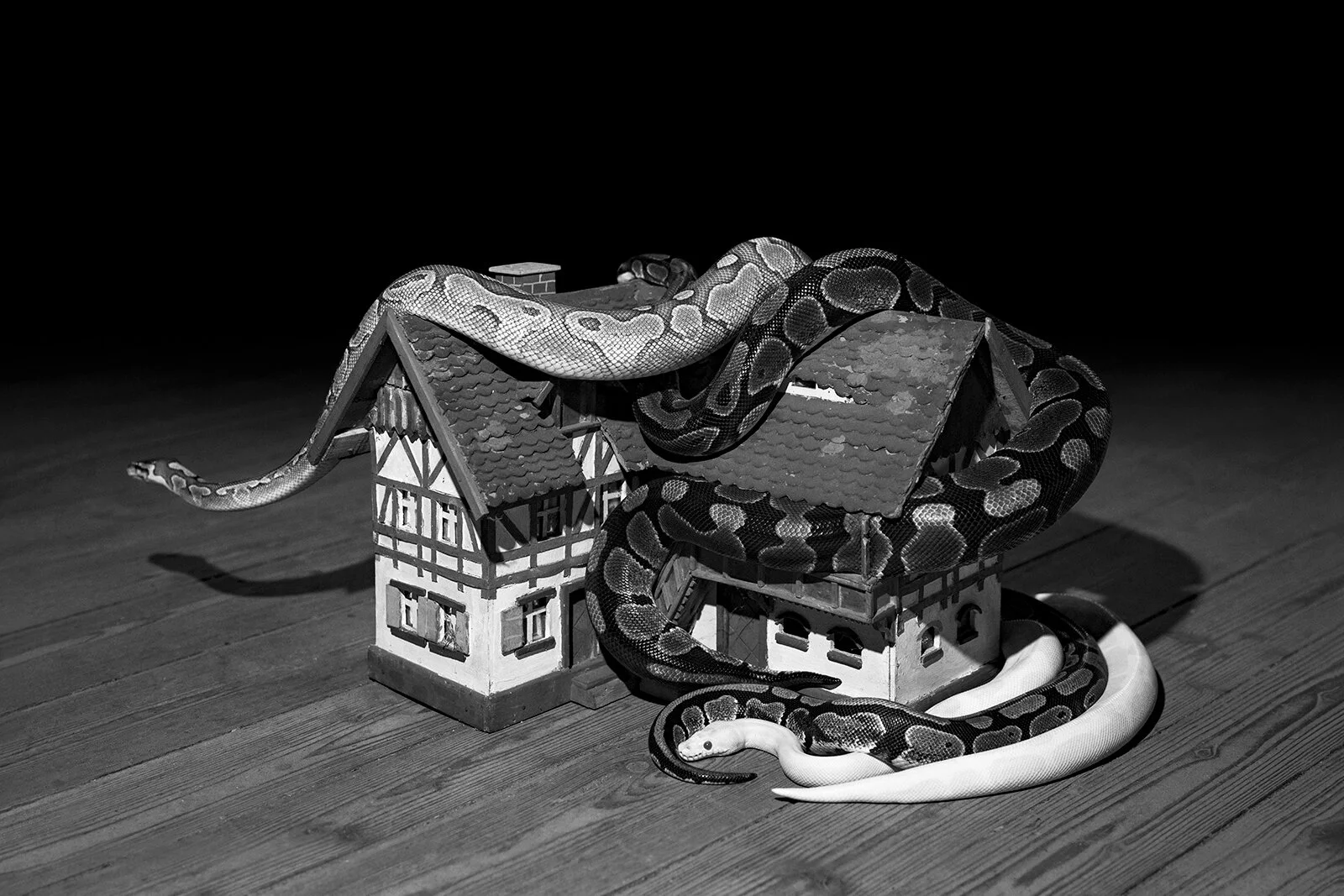 Photo Elena Helfrecht