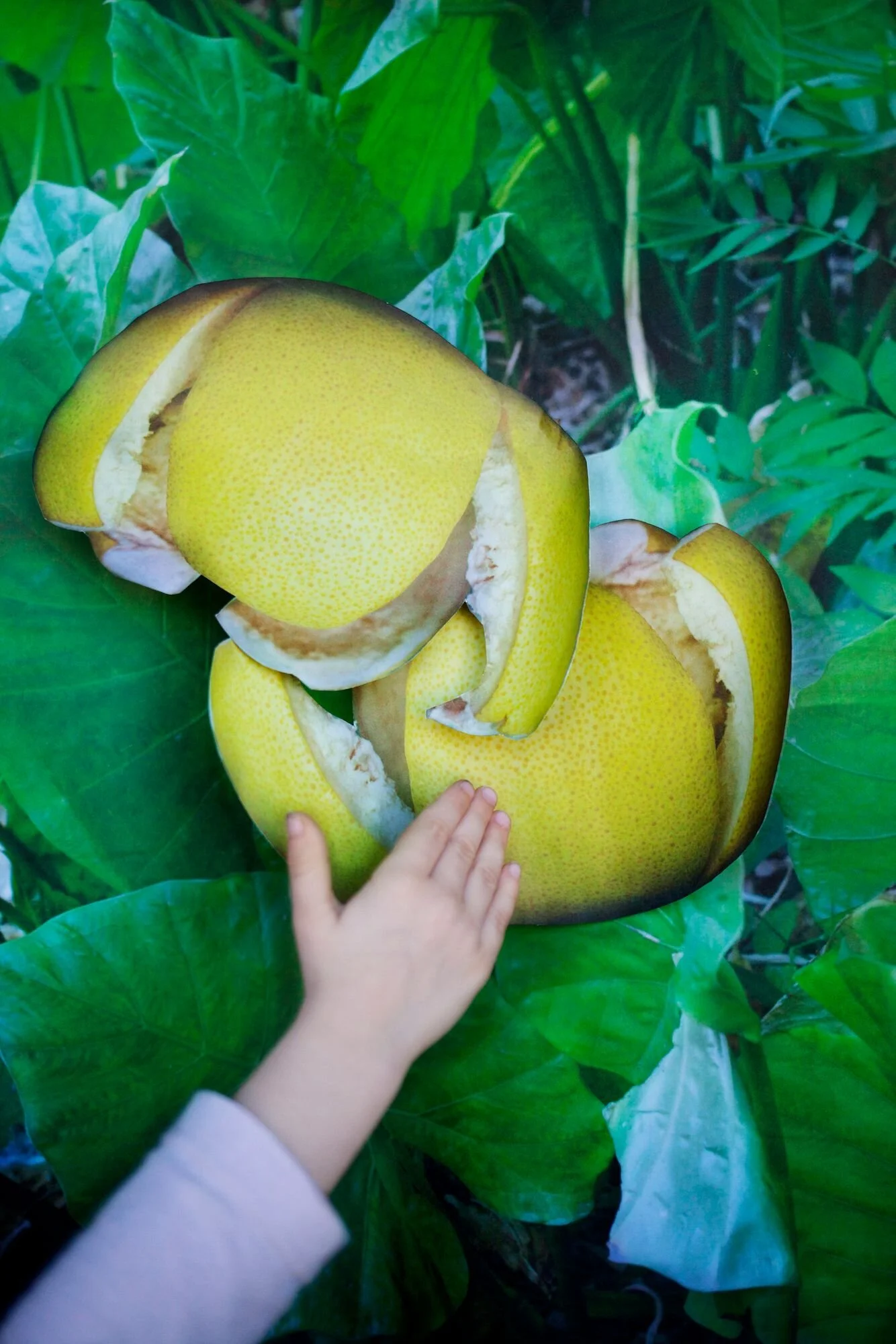 Untitled, 2020 © Vanja Bucan