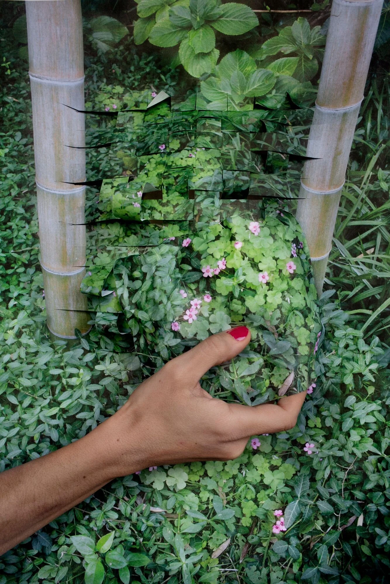 Untitled, 2020 © Vanja Bucan