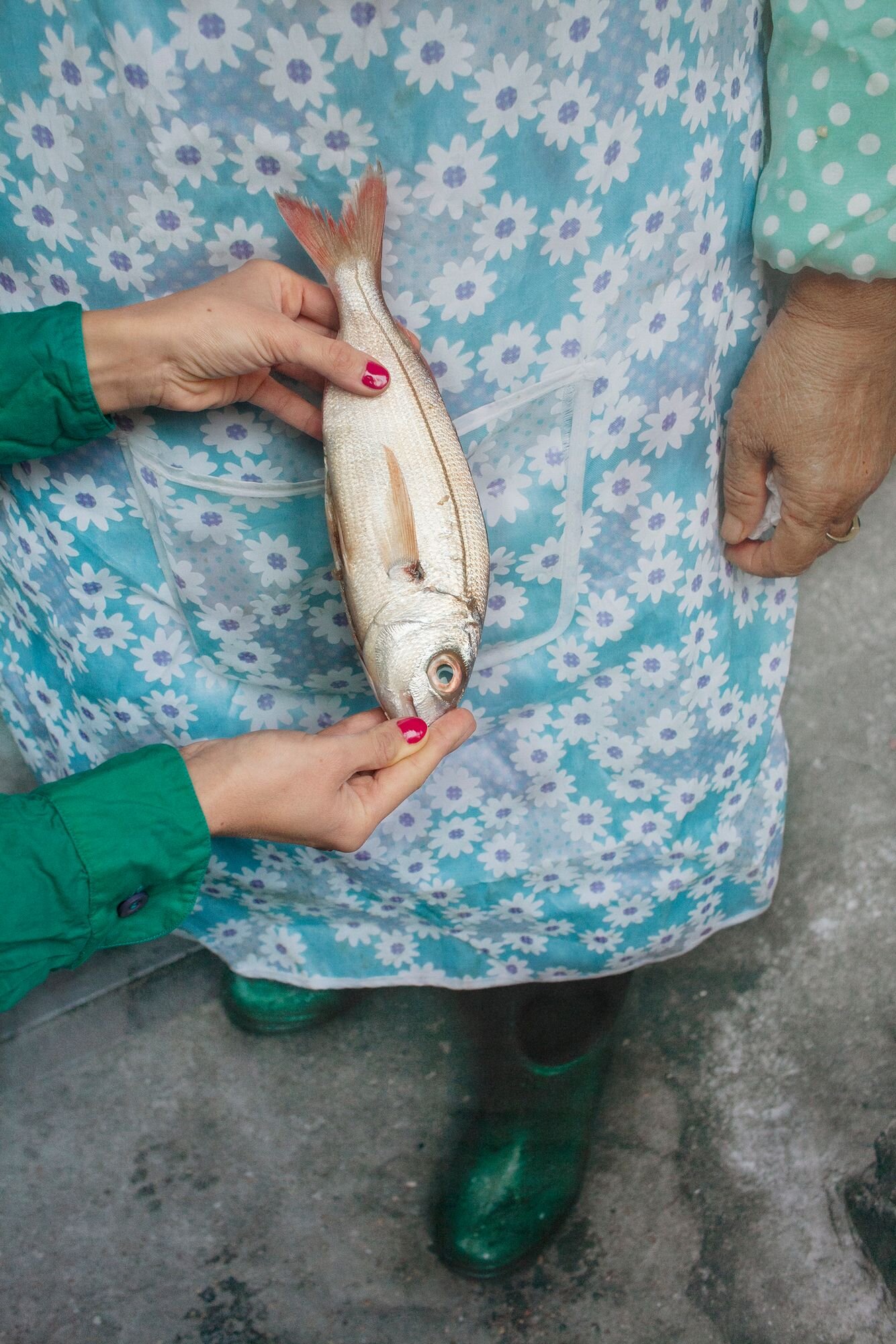 Comment cueillir les fleurs du bitume avec Vanja Bucan