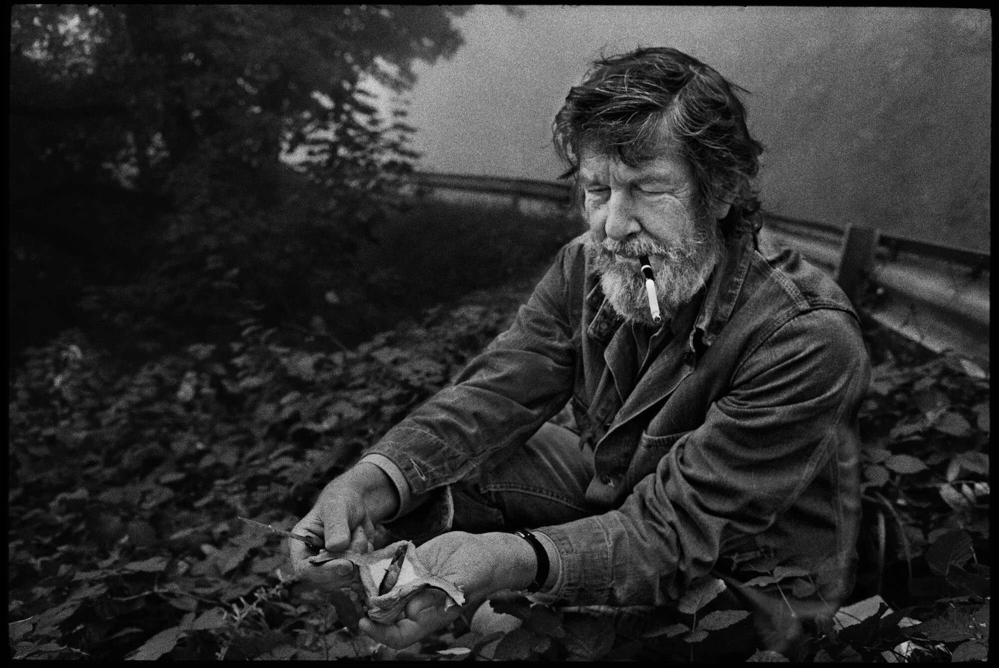 John Cage et les champis, une incursion mycologique&nbsp;