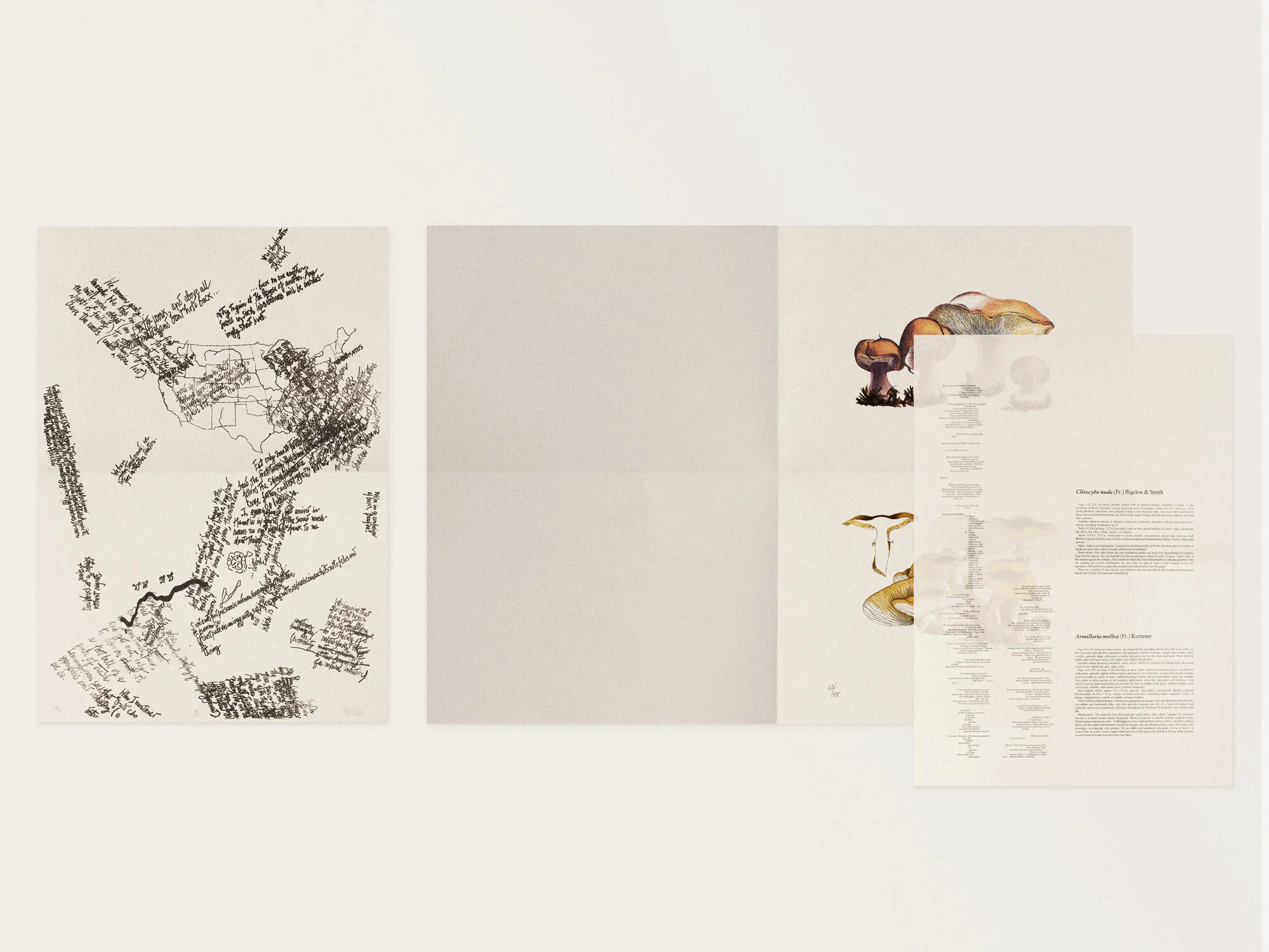 Inside view of “John Cage: A Mycological Foray – Variations on Mushrooms”, published by Atelier Editions.