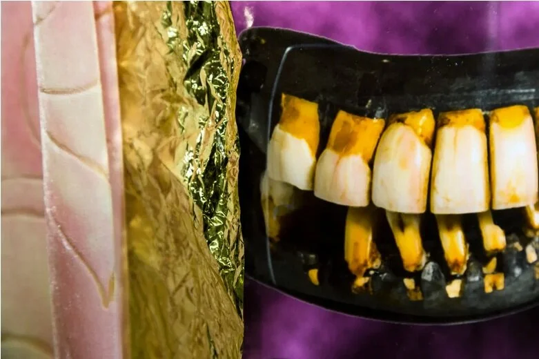 La "Blaxidermy", un art engagé par Pamela Council