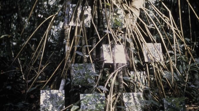 Robert-Smithson_Yucatan-Mirror-Displacements_Time-Crystals