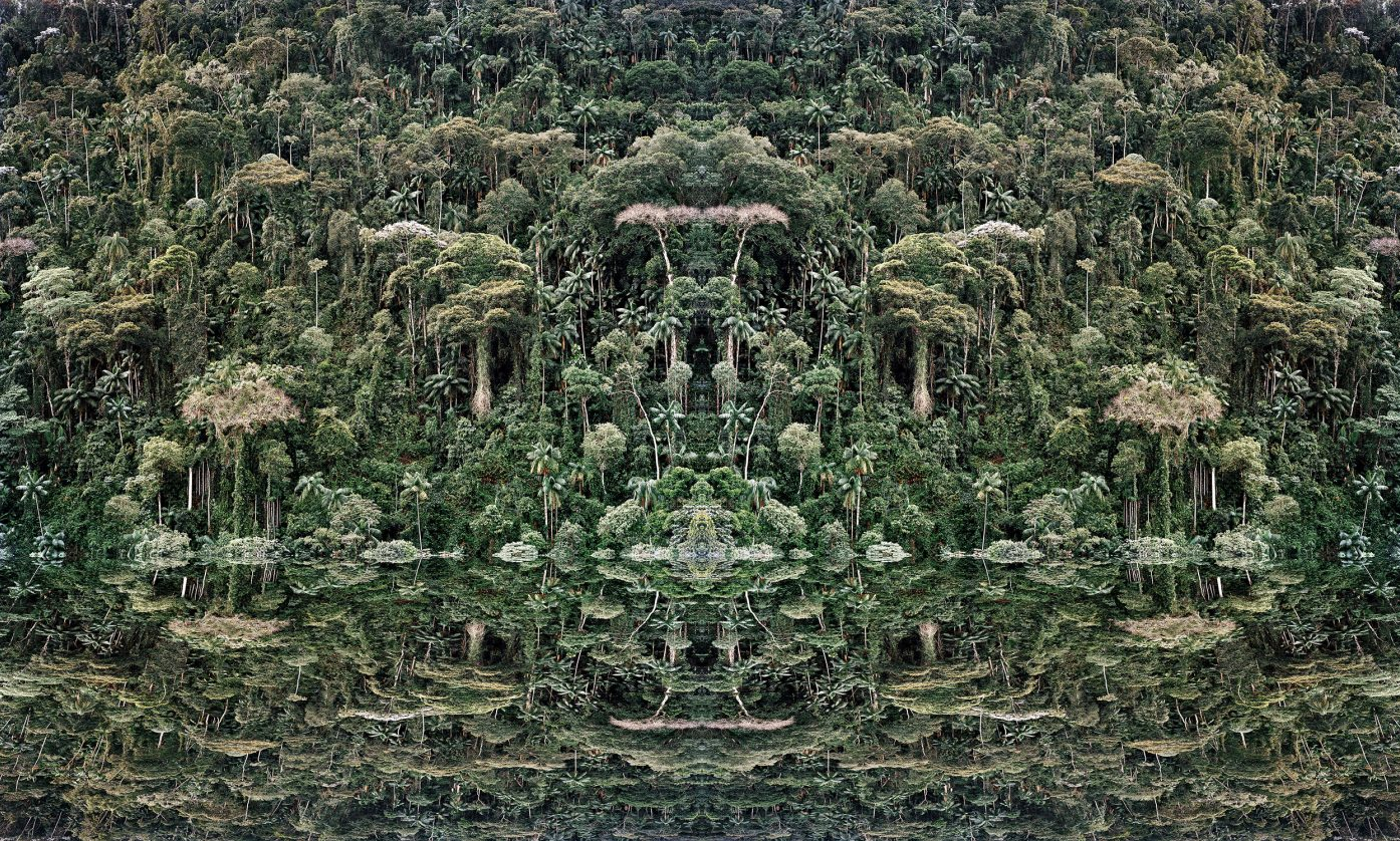 Corylus. Denis Felix (voir son travail)