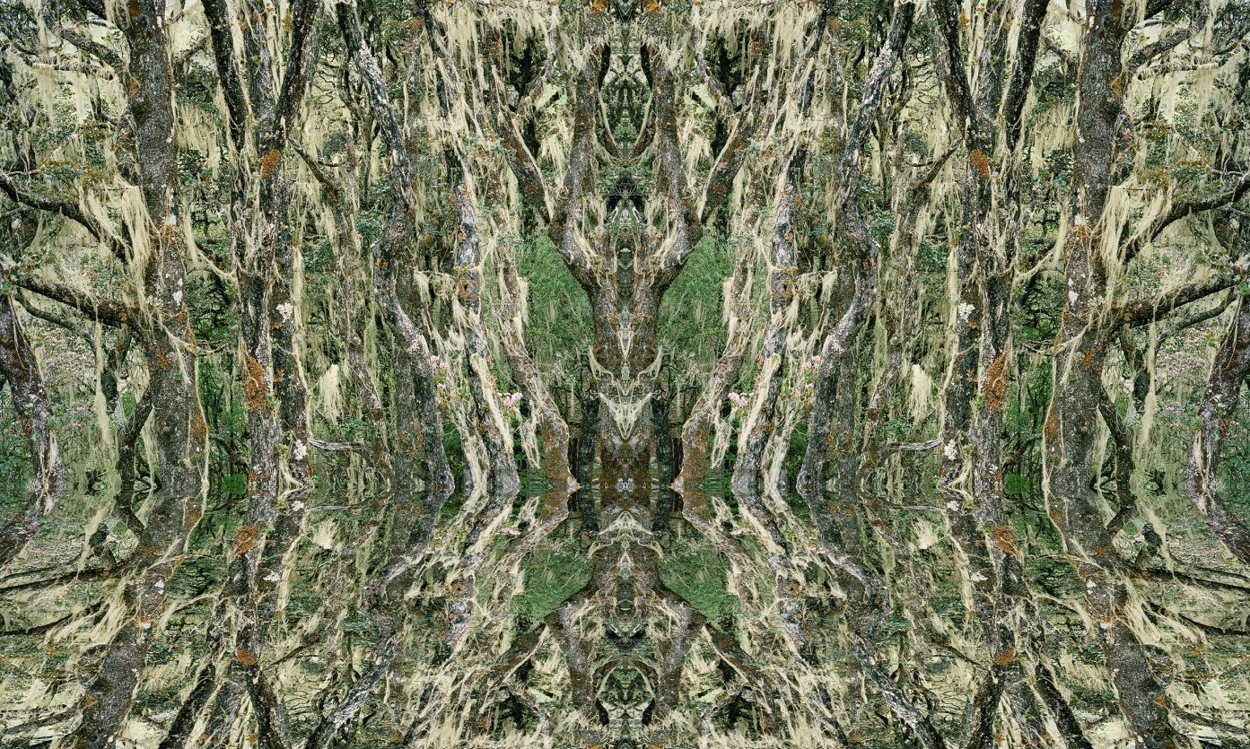 Davidlya. Denis Felix (voir son travail)