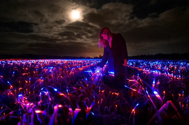 Faire une rave de poireaux avec Dean Roosegaarde 
