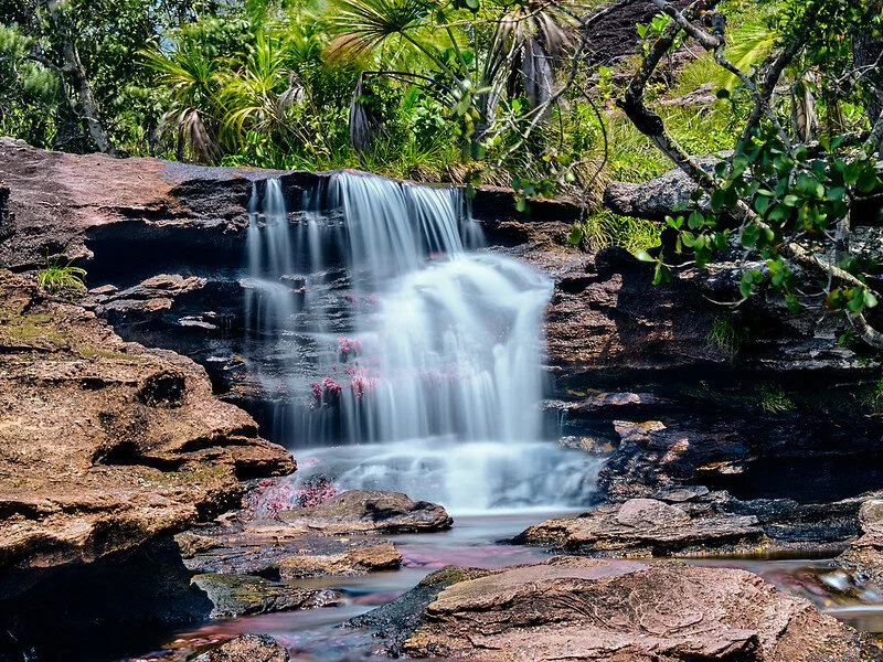 De l'eau plein les yeux, en Colombie et en couleurs sur le Caño Cristales