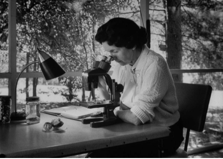 Capture d’écran 2021-02-21 à 11.20.35.png