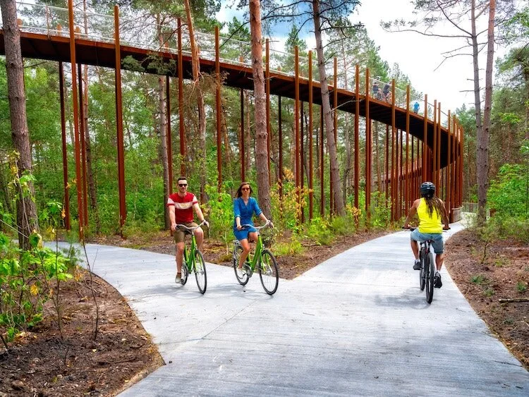 Pedaler-dans-les-Arbres-une-piste-cyclable-circulaire-avec-un-etage-dans-le-Limbourg-4.jpg