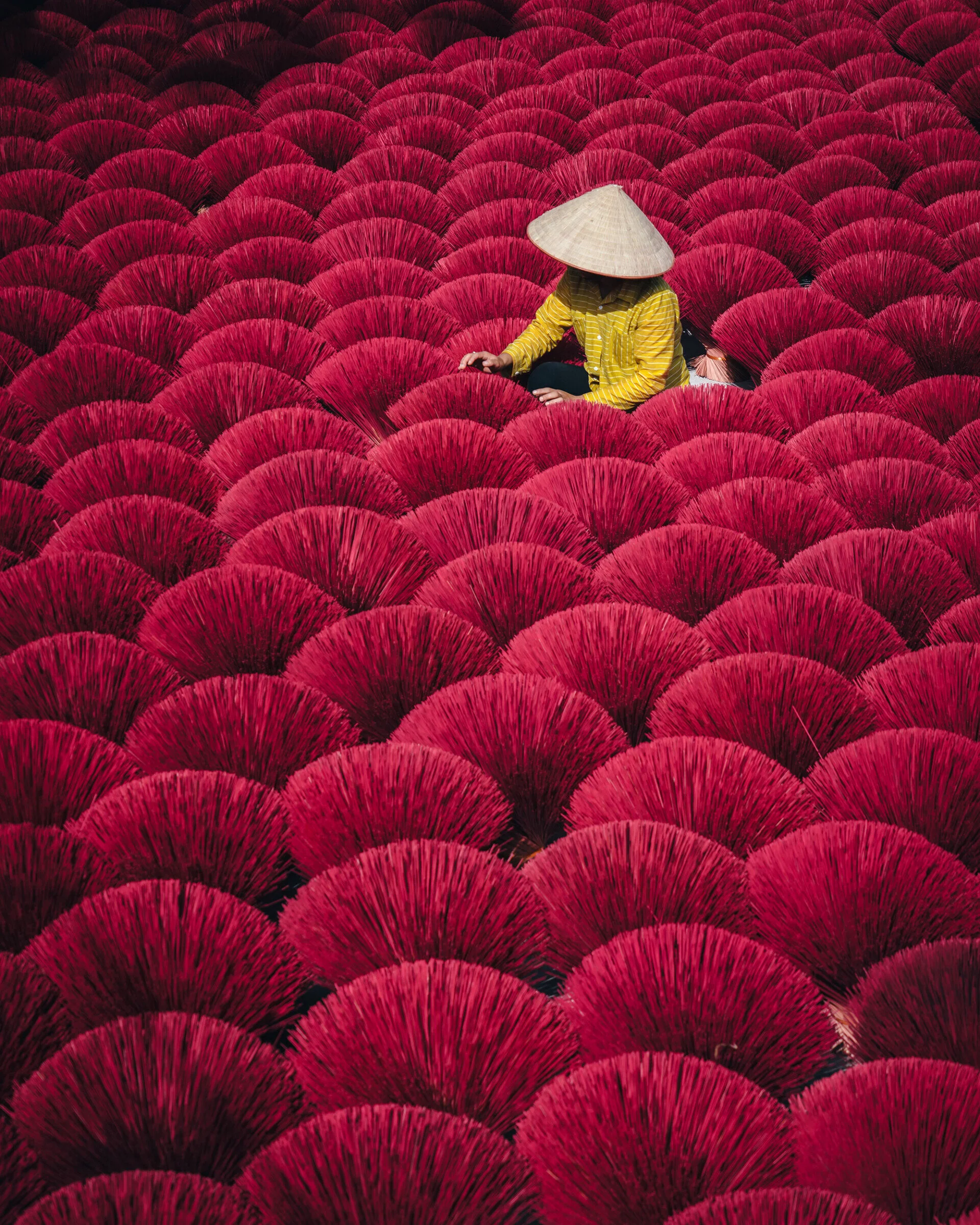 Vietnam