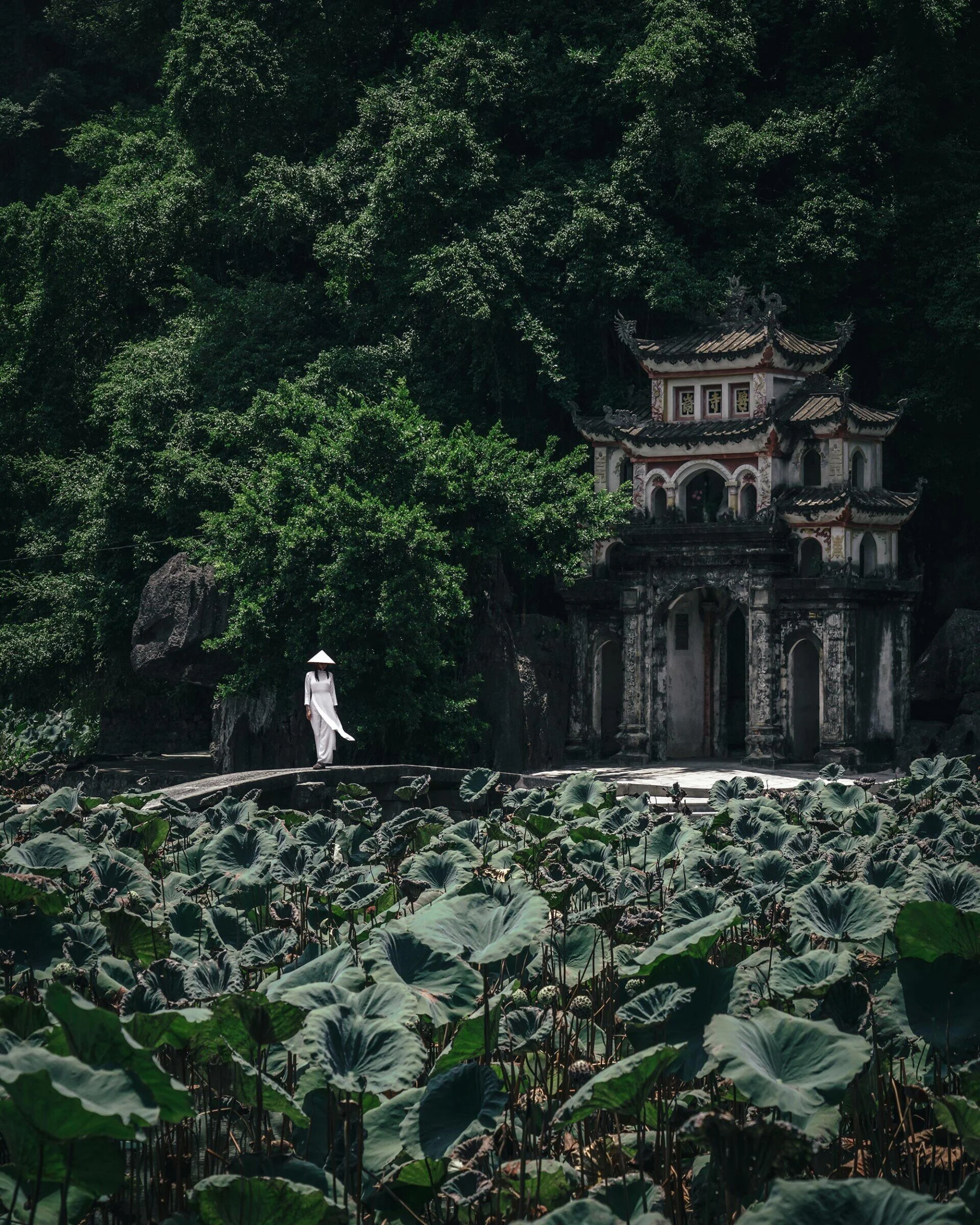 Vietnam