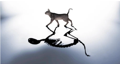 Capture d’écran 2021-03-27 à 08.47.38.png