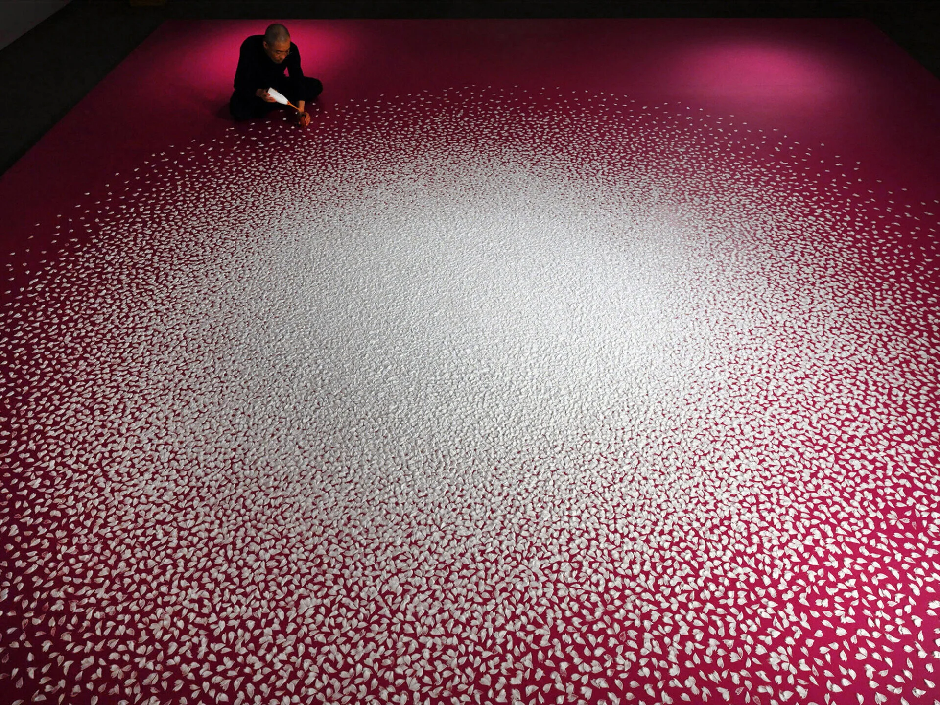  Sakura Shibefuru, que mille pétales éclosent dans le Japon de Motoi Yamamoto