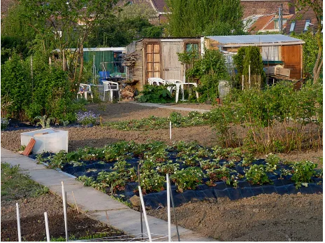 Capture d’écran 2021-03-31 à 15.17.39.png