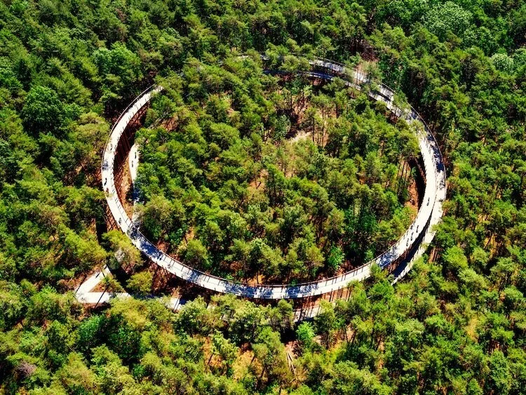 Pédaler dans les arbres au Limbourg