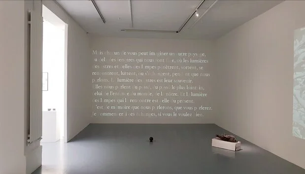 Angela Detanico et Rafael Lain, Lumière, 2021 — Vue de l’exposition Les Tiroirs du temps de Jacques Roubaud, à la galerie Martine Aboucaya, Paris © Guillaume Benoit, Slash-Paris, 2021